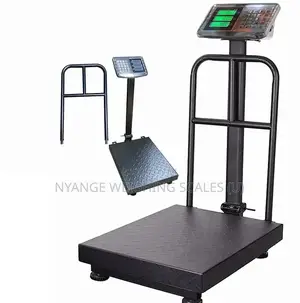 Electronic Cast Iron Weigh 180kg Weighing Scale Digital Weighing Scale