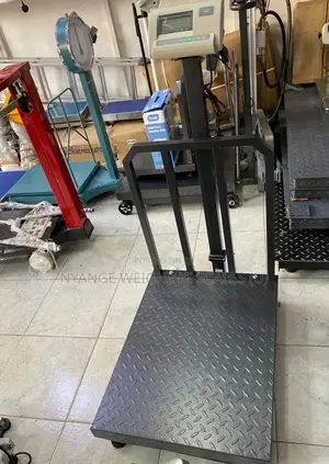 Commercial Weighing Scale Industrial Weighplatform Weighing Scale