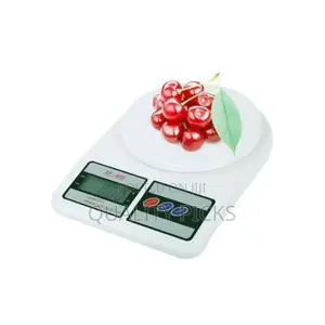 Portable Computer Scale