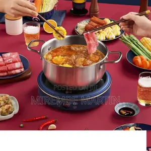 Silver Crest Electric Stove Cooker.