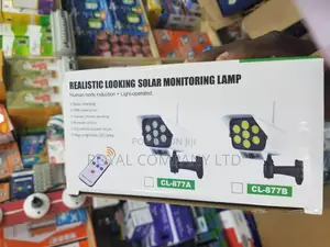 Monitoring Solar Lamp