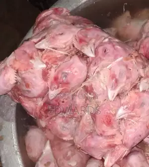Chicken Legs for Dogs Feeds