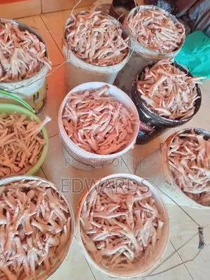 Chicken Legs for Dogs Feeds