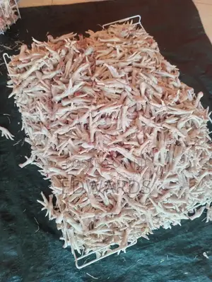 Chicken Legs for Dogs Feeds