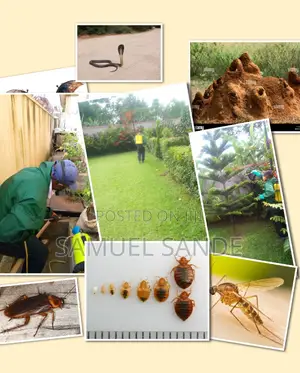 Safe Fumigation Services