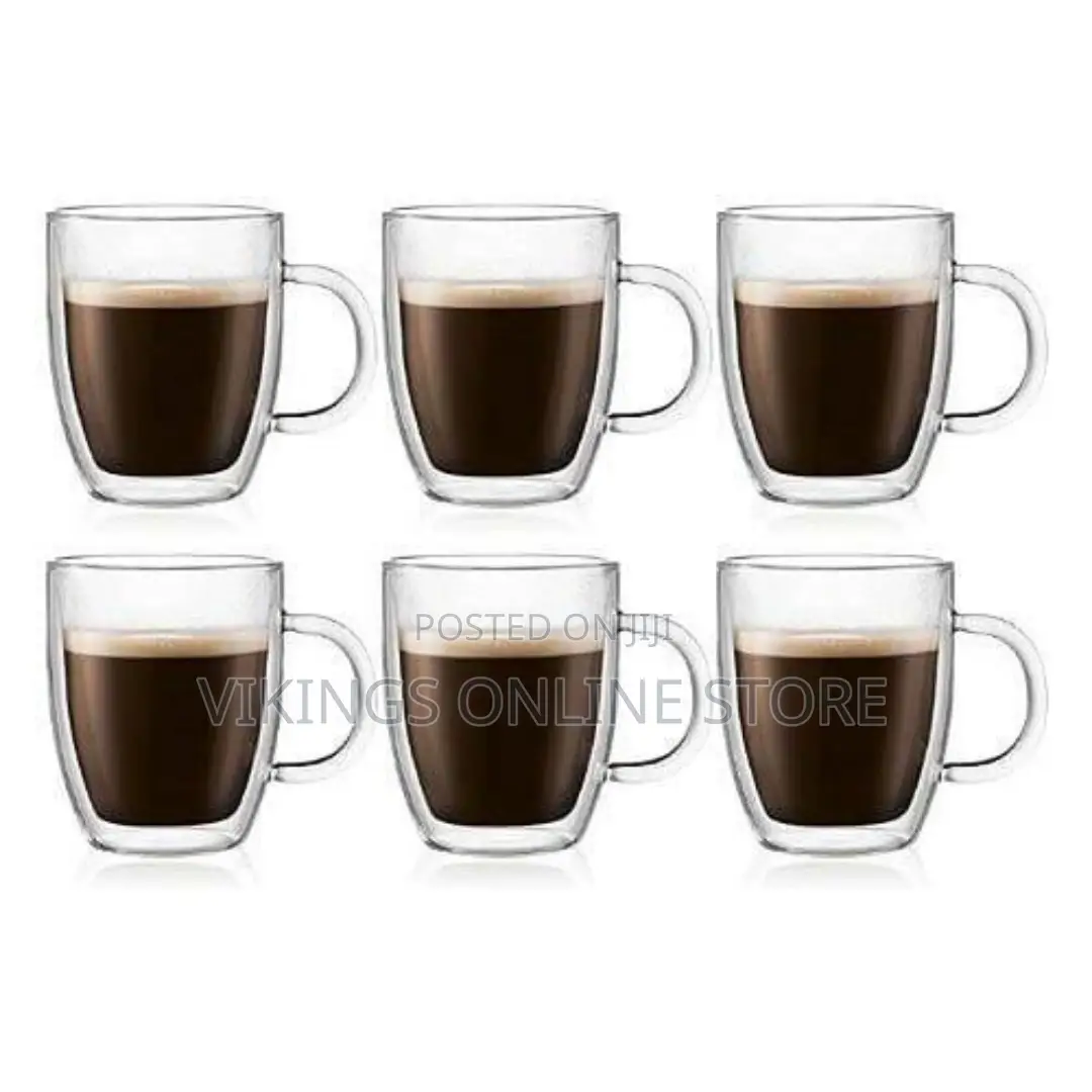 6 Piece Double Wall Glass Coffee Mugs Set With Handle