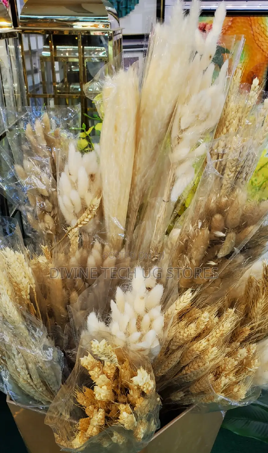 Fluffy Pampas Grass Decor ,Stunning Decoration- Abatch
