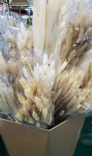 Fluffy Pampas Grass Decor ,Stunning Decoration- Abatch