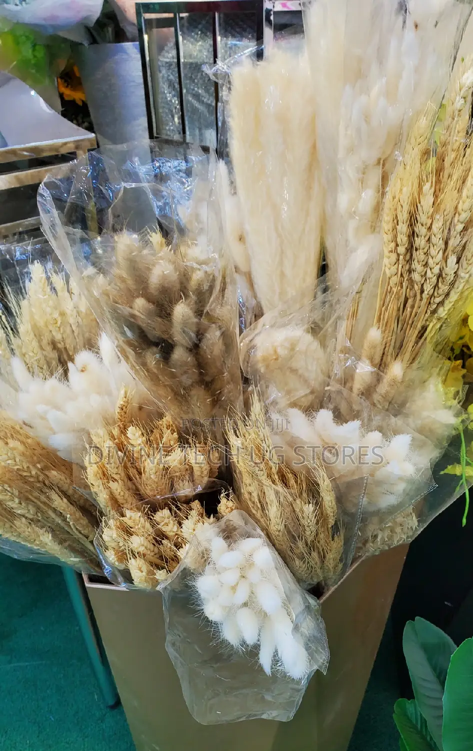 Fluffy Pampas Grass Decor ,Stunning Decoration- Abatch