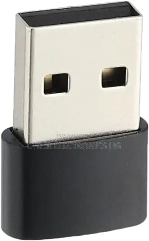 Type-C Usb Female to Usb Male Converter