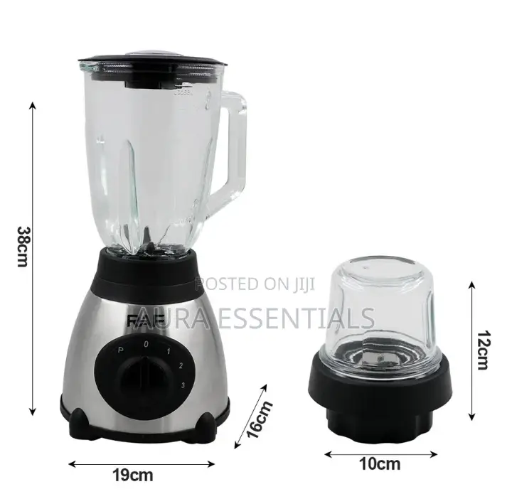 RAF Heavy Blender/Juicer