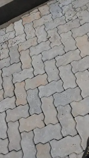 Double Z Proffesional Paver Installer