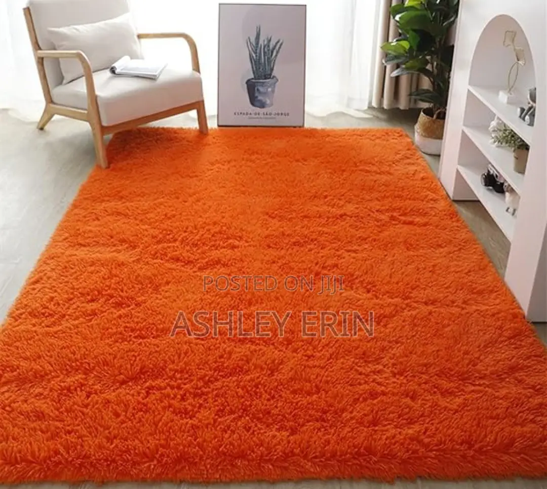 Modern Stylish Fluffy Center Carpet