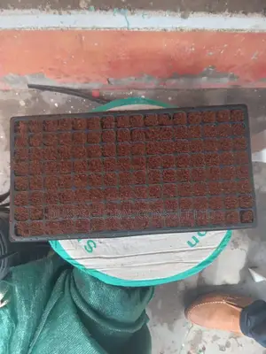 Treated Cocopeat.