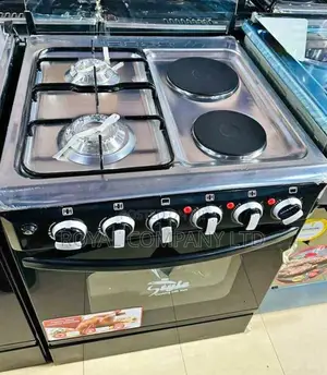 2gas and 2 Electric Burners/Oven