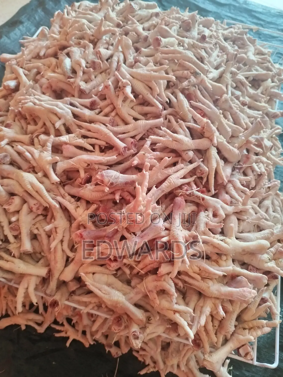 Food for Dogs Chicken Feet