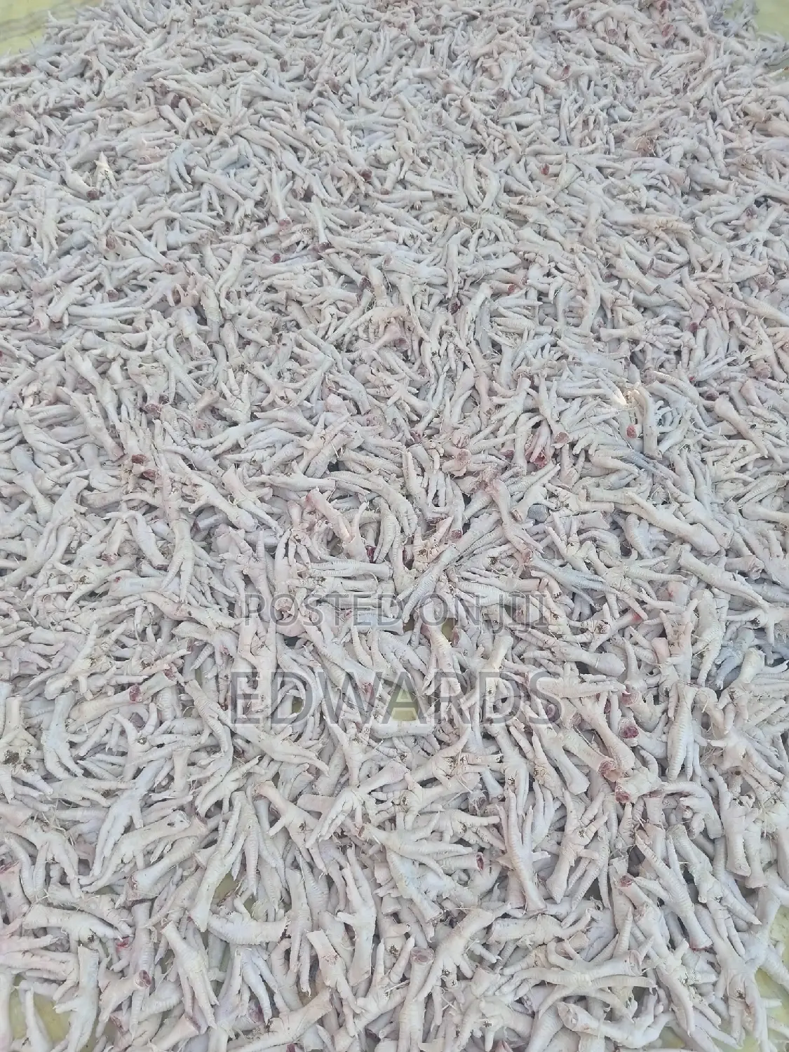 Food for Dogs Chicken Feet