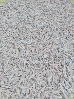 Food for Dogs Chicken Feet