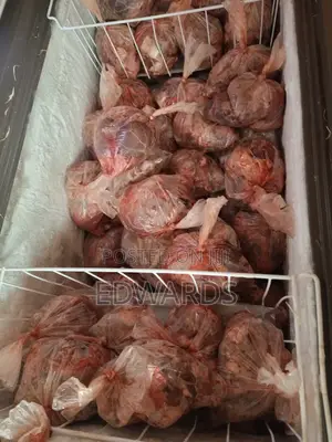 Beef for Dogs to Eat