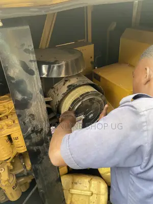 Cat and Other Generator Technician