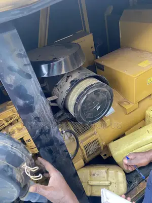 Cat and Other Generator Technician