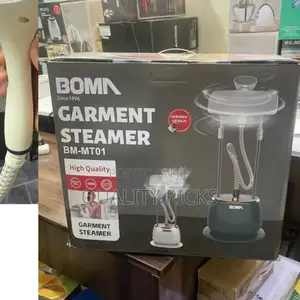 Electric Garment Steamer
