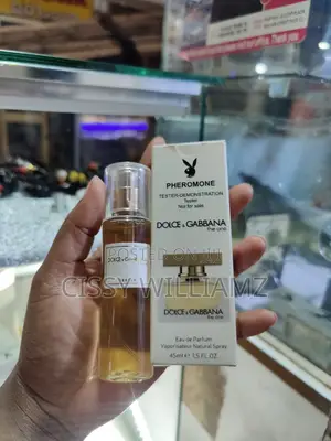 Dolce Gabana the One Mini Tester/Dolce Gabana Perfume