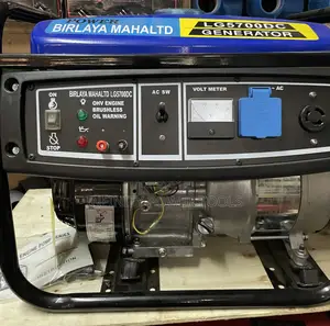 Birlaya Mahal Generator