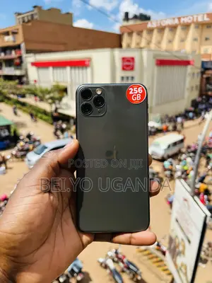 Apple iPhone 11 Pro Max 256 GB Gray