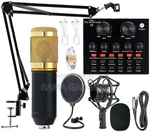 Condenser Microphone