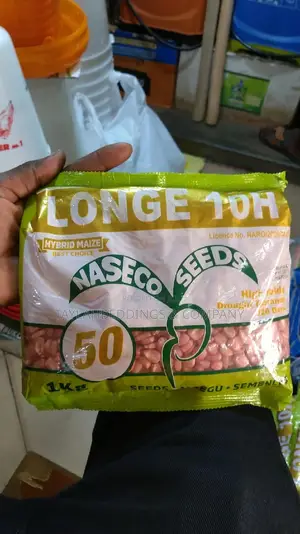Maize Longe 10H 1kg