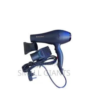 Simbaland Professional Hair Dryer