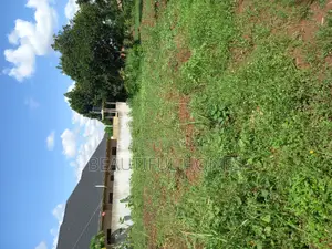 Kira Classy Plot for Sale