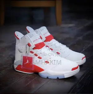 New Jordan 6 in Stock