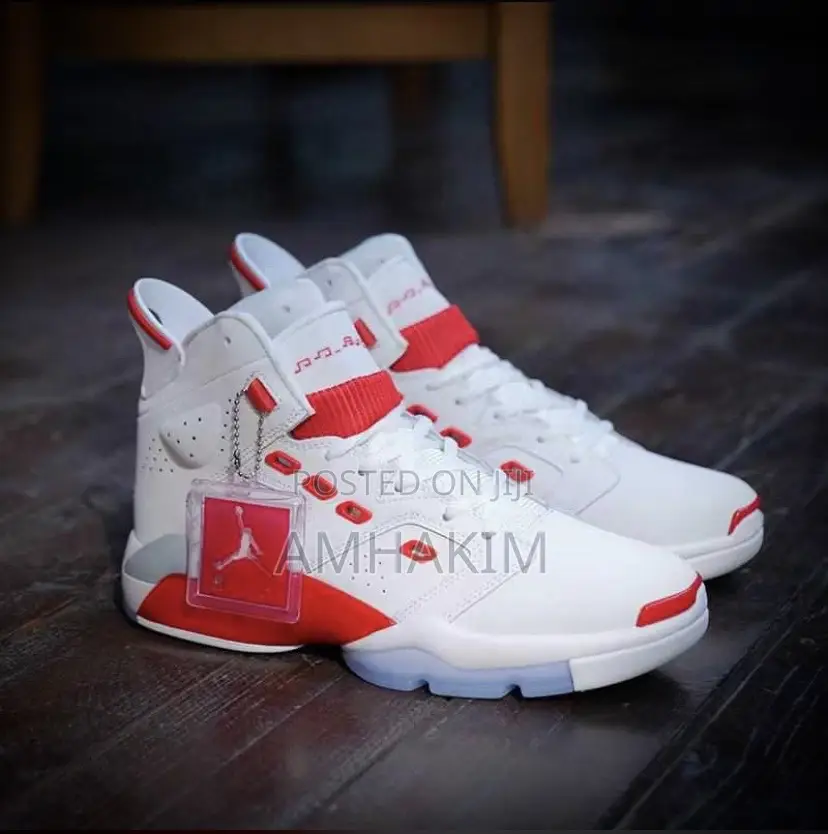 New Jordan 6 in Stock