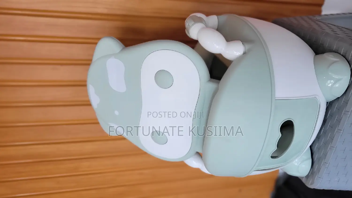 Baby Potty