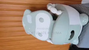Baby Potty