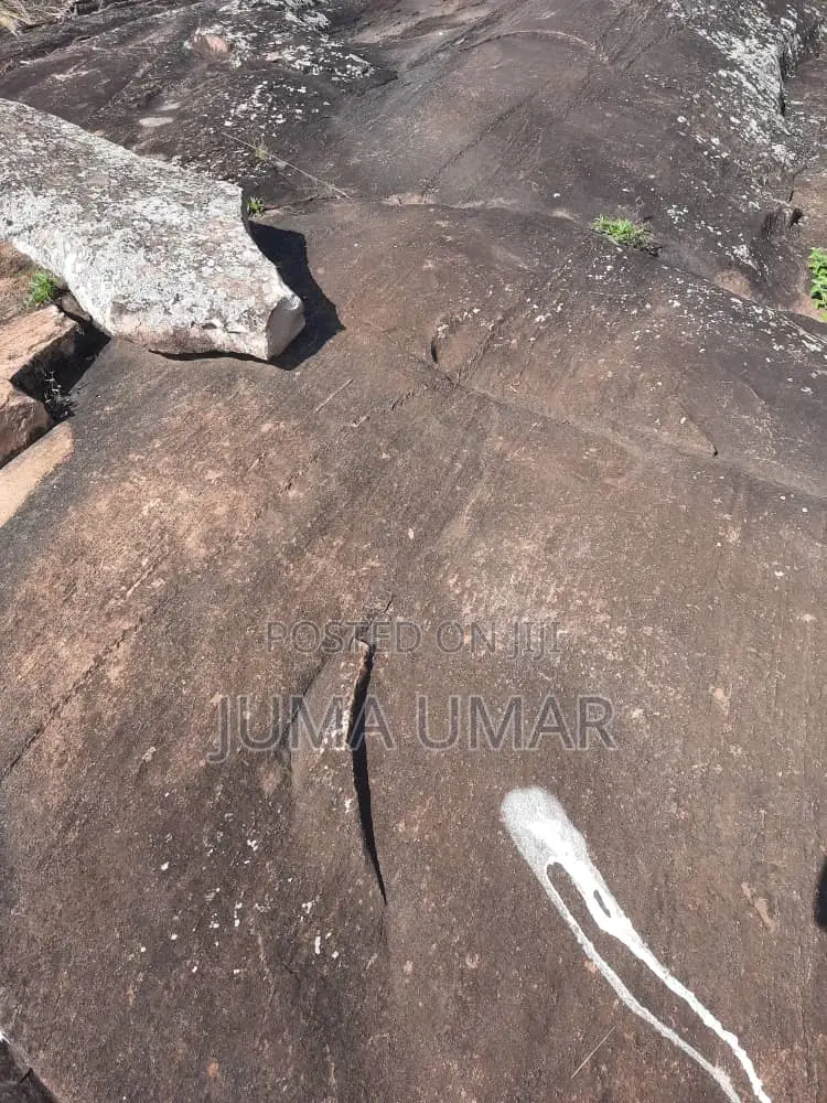 Rocky Land for Quarry.