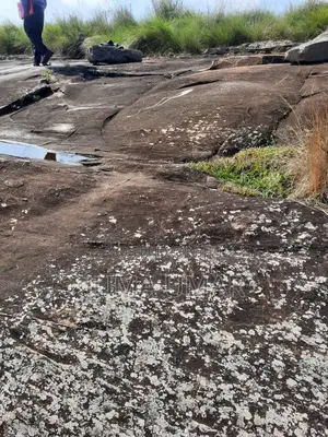 Rocky Land for Quarry.