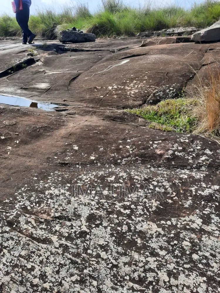Rocky Land for Quarry.