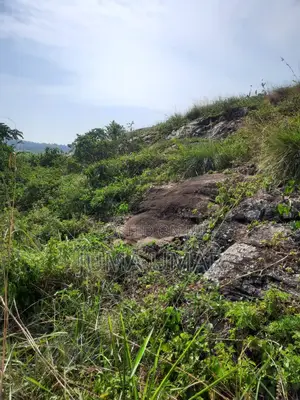 Rocky Land for Quarry.