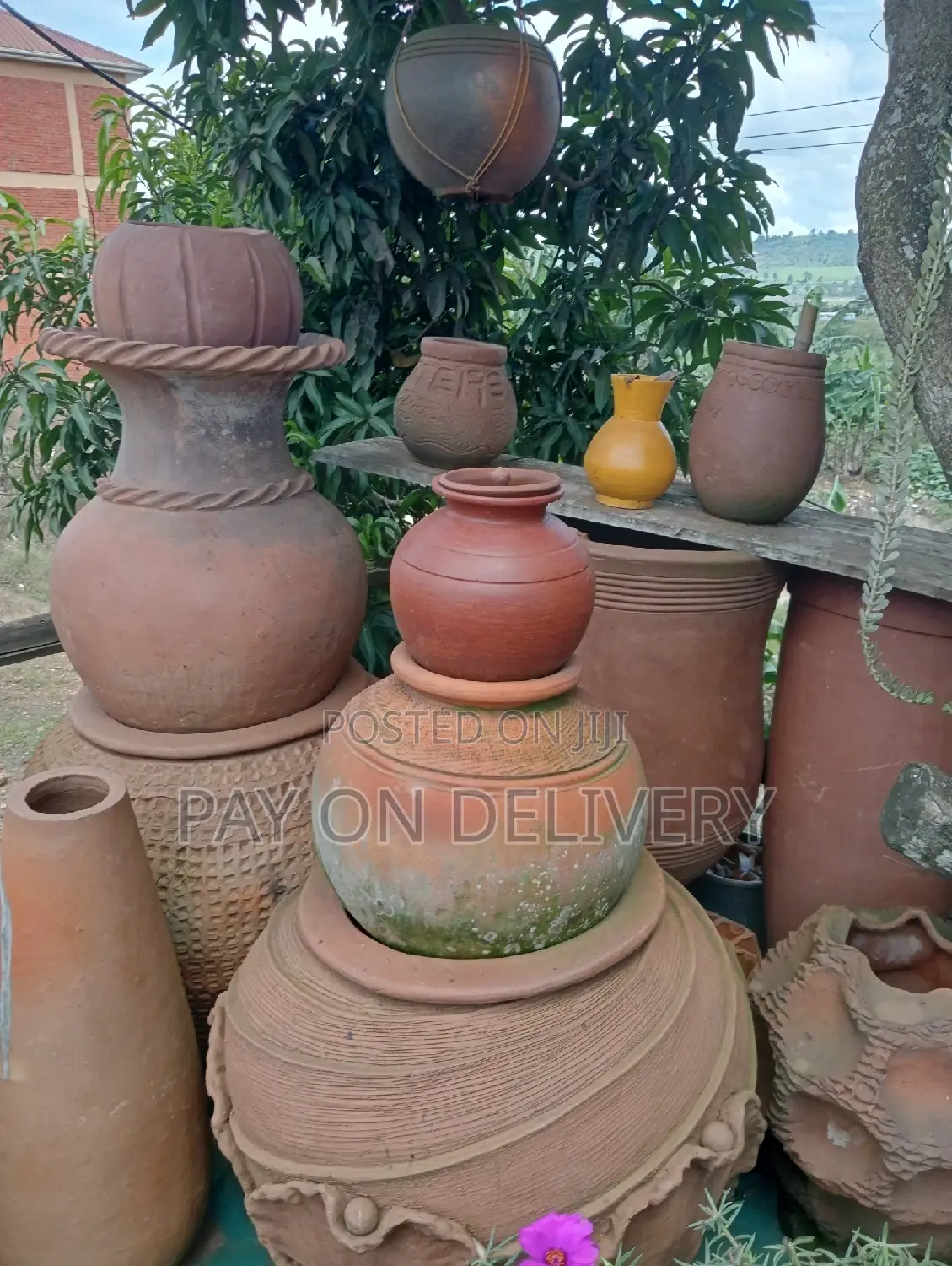 Pots And Flowers