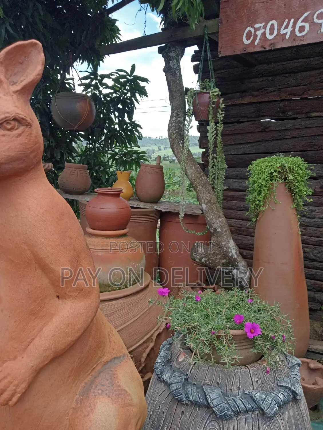 Pots And Flowers
