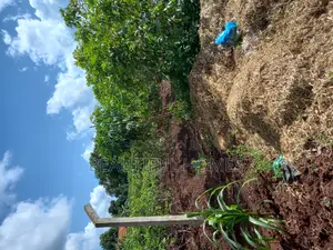 Posh Land in Kira on Sale
