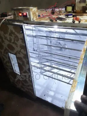 Hybrid Smart Egg Incubator