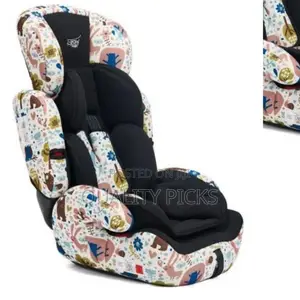 Brand Baby Car Seater