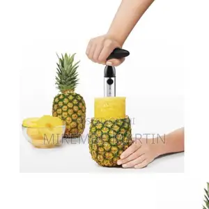 Stainless Steel Pineapple Cutter.