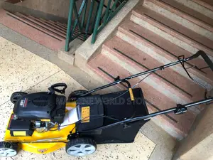 Lawn Mower (Phoceenee)