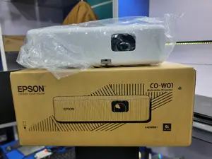 Epson Co-Wo1 DLP Muiltmedia Projector