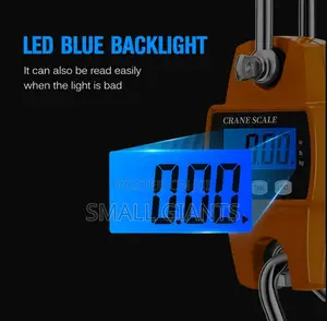 300kg Hanging Weight Scale